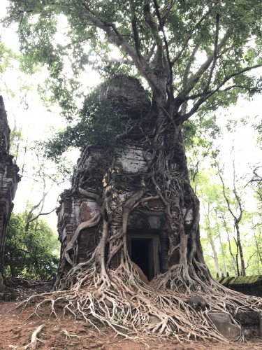 カンボジアの遺跡の画像（1枚目）