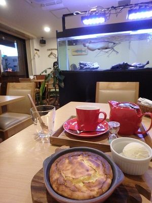 口コミ：まだ寒い日は特におすすめ！神戸キッチンカフェ　ペスカのあつあつcheesecakeの画像（1枚目）