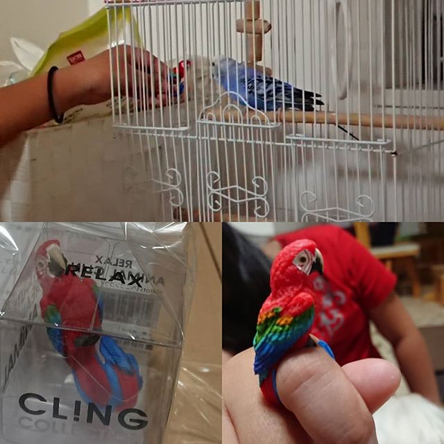 口コミ投稿：#cling #animalcling #アニマルリング #指輪 #リング #動物モチーフ #relax #リラッ…