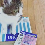 ☆☆☆・@dhc_official_jp DHC 様から猫ちゃんの#健康食品いただきました🐱・今回のは#パーフェクトビタミン#毛玉ケア・削り節のお粉みたいなので…のInstagram画像