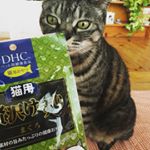 ＤＨＣの『贅沢けずり』まぐろ味✨ねこちゃん用のおやつです🐱厚みがある削り節のような感じで、我が家の愛猫ちゃんはとても喜んで食べます💖 #DHC  #DHCPET #贅沢けずり #愛猫 #m…のInstagram画像