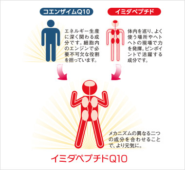 口コミ：疲労対策&エイジングケアの決定版【イミダペプチドQ10】の画像（3枚目）