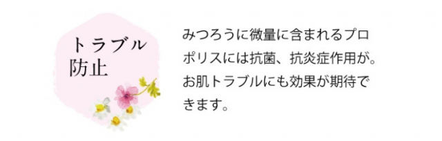 口コミ：＊° 自然素材の手作り無添加コスメ♡日本みつばちの蜜蝋（みつろう）ハンドクリームキット°＊の画像（14枚目）