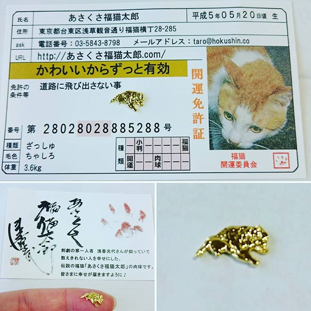 口コミ投稿：２４K 純金メッキ あさくさ福猫太郎😸豆お守りかわいいねこの開運免許証❇届きました。…