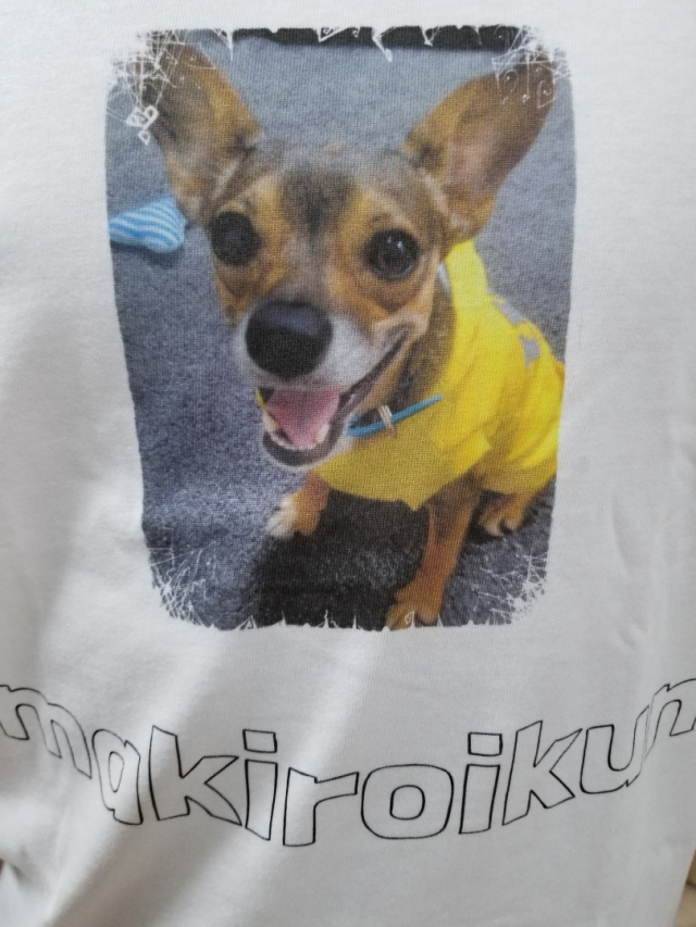 口コミ：「かわいいペット写真」でオリジナルＴシャツつくっちゃいました！の画像（5枚目）