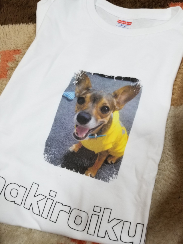 口コミ：「かわいいペット写真」でオリジナルＴシャツつくっちゃいました！の画像（1枚目）