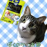 ・猫用 DHC贅沢けずり・・まぁー常に元気な鈴…最近またでかくなった？！ごはんとおやつにしか反応しない笑・・この贅沢けずりも大好き♡ごはんにトッピングしたりおや…のInstagram画像