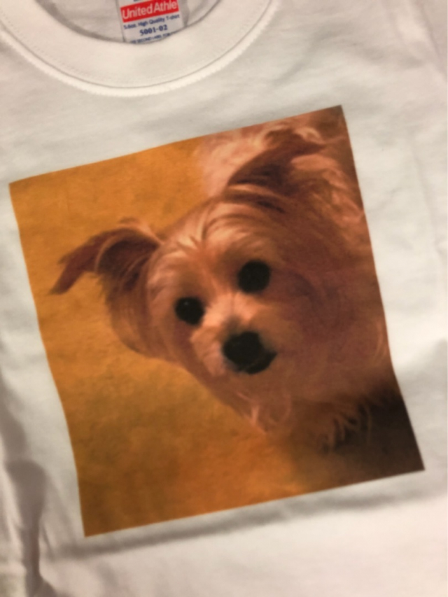 口コミ：簡単！世界に一つだけの素敵なTシャツ♡ペット写真のオリジナルTシャツの画像（14枚目）