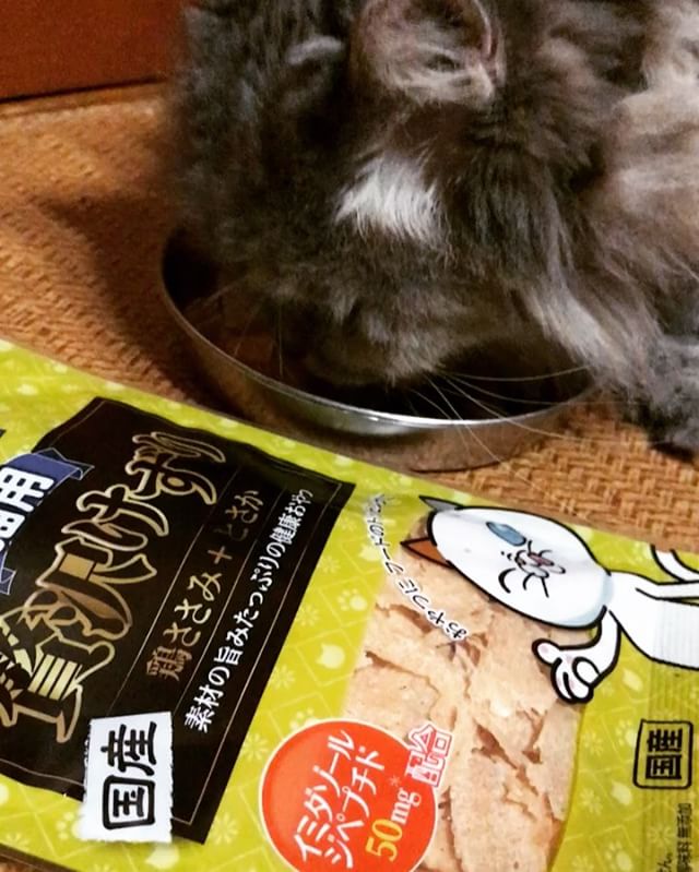 口コミ投稿：#猫用おやつ#贅沢けずり （鶏ささみ+とさか）#さくらさん@sakura61.k食いつきがすご…