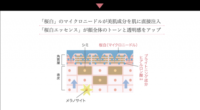 口コミ：自宅でできるマイクロニードル美白ケアの画像（6枚目）