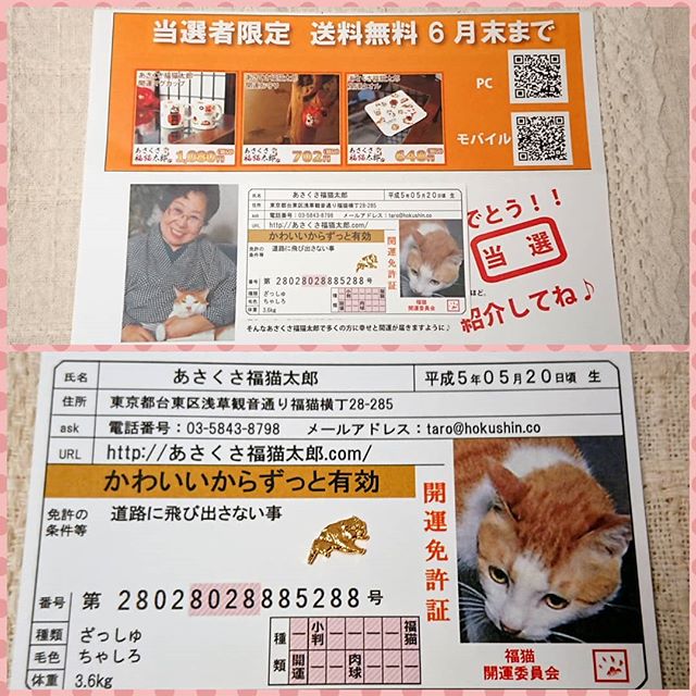 口コミ投稿：あさくさ福猫太郎さんから２４K純金メッキの #福猫 の #豆お守り が届きました♪ こち…