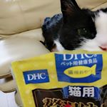 #DHC って猫のおやつもあったんだ！！！#DHCPET の#贅沢けずり をナナに与えてみたところ、若かりしき頃を思い出すような積極性で食べていましたよ～！しかもただのおやつじゃないの。抗…のInstagram画像