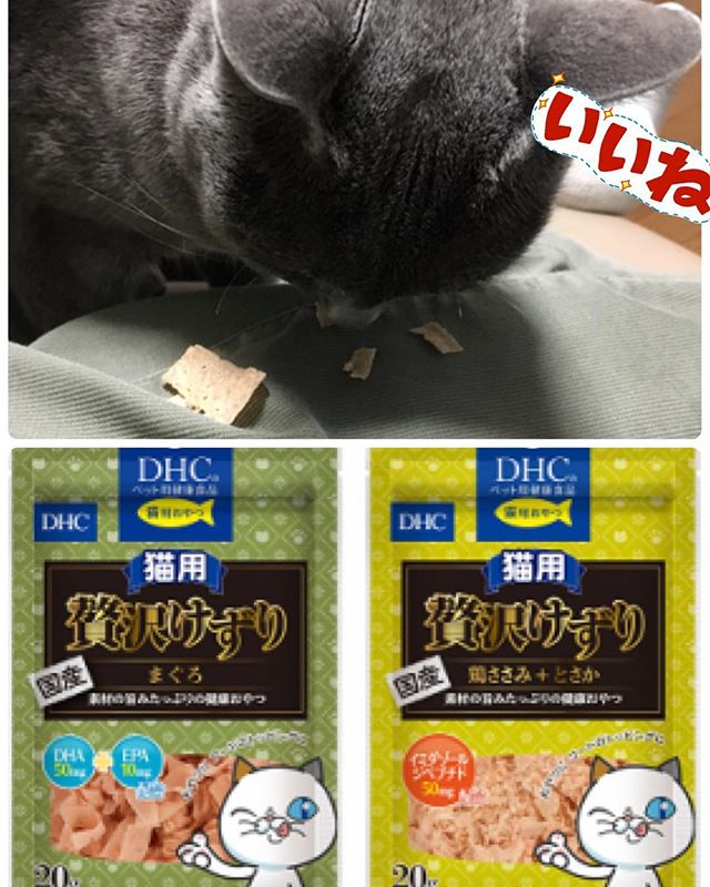 口コミ投稿：実家の猫ちゃん、ツンデレだから貢物美味しそうに食べてくれた^ ^#DHC #DHCPET #贅沢…