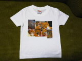 口コミ記事「「オリジナルTシャツのデコプリ」でミャオTシャツを子供に❤️」の画像
