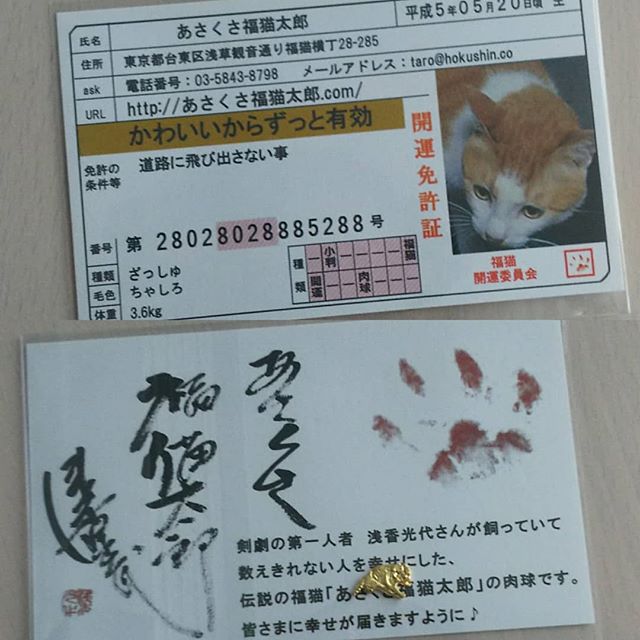 口コミ投稿：あさくさ福猫太郎の免許証と豆お守り😼😼😼 良い事がありますように🙇💕 #開運グッズ #幸…