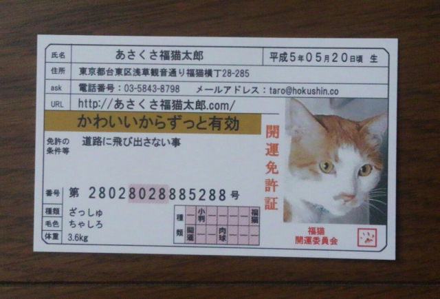 口コミ：☆あさくさ福猫太郎  開運  豆お守り☆の画像（2枚目）