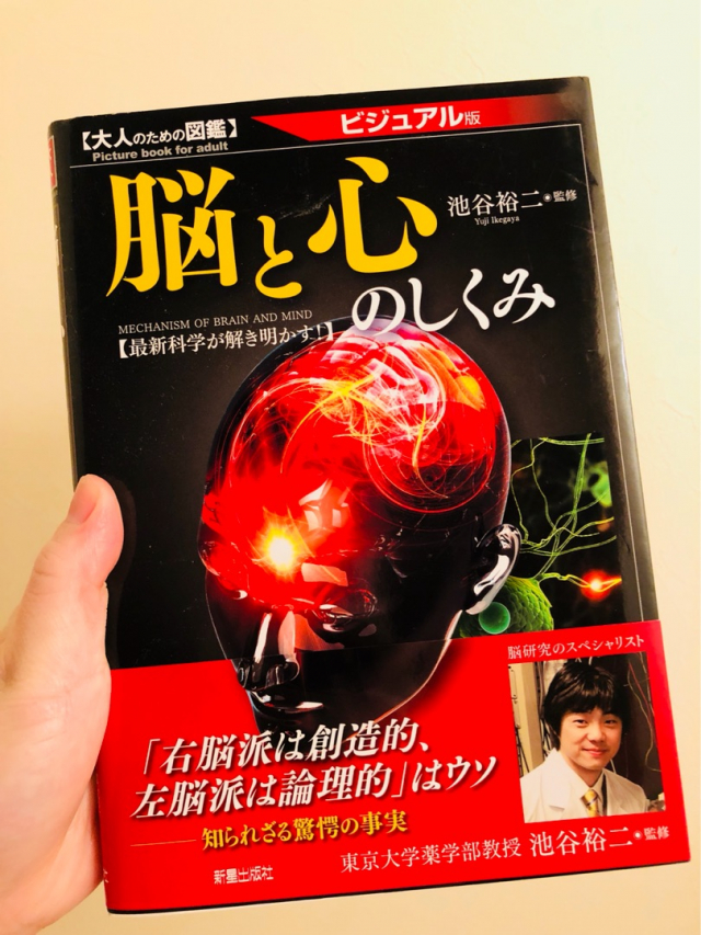 口コミ：イチョウ葉エキスプライムを飲んでみた件の画像（1枚目）