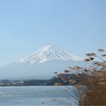 【+eais（プラスエアイズ）】をお試ししました😊自然の恵みを肌にプラスする美容液で希少な成分をたっぷり含んでいるため大量生産が困難なお品💡炭酸ムース状の美容液でマッサージしながらなじませるとよ…のInstagram画像