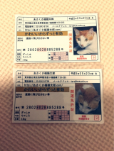 口コミ記事「あさくさ福猫太郎」の画像