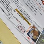 豆お守りに当選💓💓いいことあるといいなぁ«٩(*´ ꒳ `*)۶»#開運グッズ #幸せ #お守り #monipla #hokushin_fanのInstagram画像