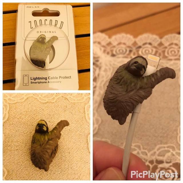 口コミ投稿：ナマケモノ〜怠け者…哀愁漂う背中です。・「ライフスタイルをもっと楽しく」をコンセ…