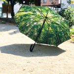 関東の方は台風のようですね💨いつもビニール傘ですが、sincereさんから頂いた傘はしっかりとした傘で、中は森林〜🌲まだ雨降ってないので使ってませんが、楽しみ🤗#傘 #長傘 #umbr…のInstagram画像