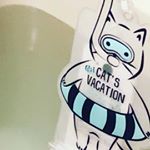 防水！✨猫たぬきさん✨潜っても平気😼📱✨たぶん✨#プチプラ #雑貨 #プチプラ雑貨 #300均 #防滴ポーチ #プール #pool #ビーチ #beach #海 #monipla #kar…のInstagram画像