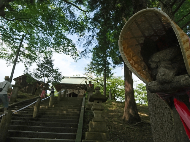 口コミ：旅行に便利だったもの～ケア編～ニッタバイオラボ　モイストハーブの画像（1枚目）