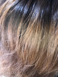 「髪の毛の痛み」の画像（2枚目）