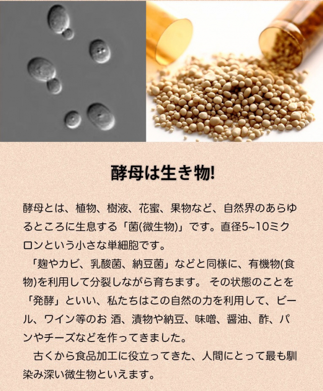 口コミ：糖質が気になる方の毎食酵母ダイエット！生酵母の画像（9枚目）