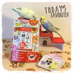 .ルル&メル:ママはご飯を食べてキレイになるんだって！🐥🐥😋🍚RURU&MERU:La mamma si diverte a mangiare!RURU&MERU:Mommy gets b…のInstagram画像