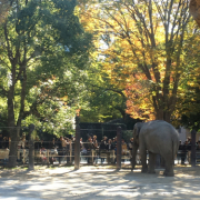 秋の動物園