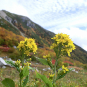 紅葉した山と秋空