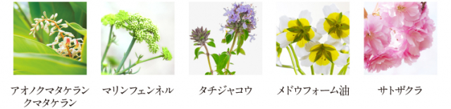 口コミ：100％植物由来のクリームが新発売＊アルファピニ28 ボタニカル コンセントレートクリームの画像（6枚目）