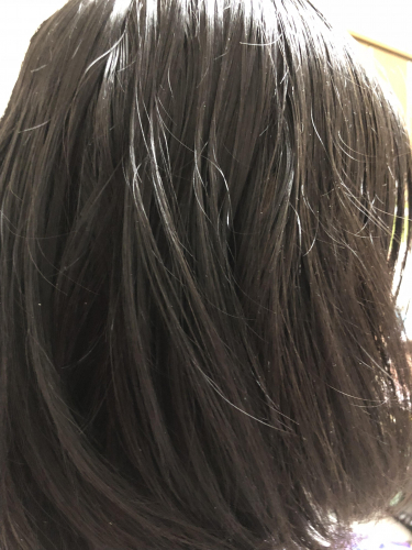 後ろから撮った髪の毛の画像（1枚目）