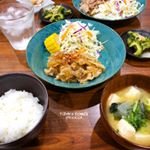 仕事の日の #夜ごはん ☺︎︎・○豚の生姜焼き○付け合わせサラダ○苦瓜の漬物 桜えび乗せ○味噌汁（大根 豆腐 わかめ）○ごはん・自分が仕事の日は簡単に作るの済ませたい。…のInstagram画像
