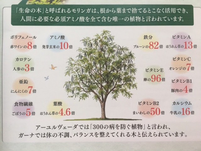 口コミ：話題のスーパーフード♪モリンガパウダーでアーモンドケーキの画像（7枚目）