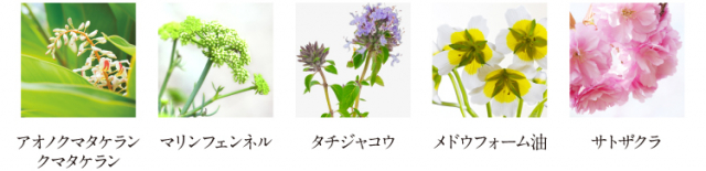 口コミ：濃縮された植物美容成分配合＊アルファピニ28 ボタニカル コンセントレートクリームの画像（2枚目）