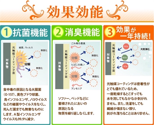 口コミ：PALCCOATで効果一年！の画像（5枚目）