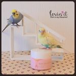 .ルル&メル:『ピュアナチュラル オールインワンオイルジェル』でママの肌がツヤツヤになるぞ！🐥🐥😊✨RURU&MERU:La pelle della mamma sara lucida con…のInstagram画像