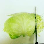 包丁で千切りキャベツ！なかなかうまくできない。#ののじ #monipla #leben_fan ＃千切りキャベツのInstagram画像