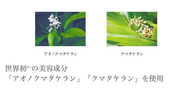 口コミ：100%植物由来の自然派クリーム♡ アルファピニ２８　 ボタニカルコンセントレートクリームの画像（2枚目）