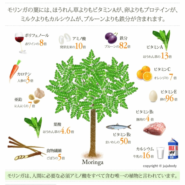 口コミ：全身に使えちゃう！JUJUBODY Moringa Virgin Oil ♡の画像（3枚目）