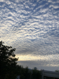 「うろこ雲」の画像（1枚目）
