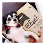 ･:*:･ﾟ'★,｡･:*:･ﾟ'★,｡･:*:･ﾟ'★,｡･:*:･ﾟ'☆..現在の体型を維持をしたい愛犬にお魚（サーモン・トラウト）主原料で豊富なオメガ3脂肪酸が愛犬の健や…のInstagram画像