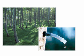 口コミ：ニッタバイオラボの保湿ローション「十勝の森」お肌しっとりの画像（3枚目）