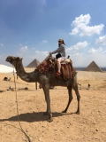 「エジプト旅行」の画像（2枚目）