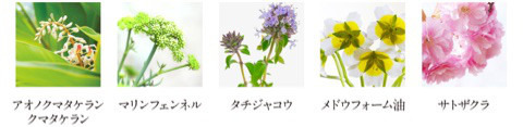 口コミ：アルファピニ28ボタニカルから待望の植物由来の美容オイルが新発売＊コンプリートオイルの画像（3枚目）