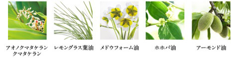 口コミ：アルファピニ28ボタニカルから待望の植物由来の美容オイルが新発売＊コンプリートオイルの画像（5枚目）