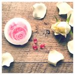 ᛭𓁘﻿「KAORU ピュアローズ」をお試ししました🌟﻿﻿一粒でローズ香るフレグランスサプリメント。﻿﻿ピンクのサプリメントがかわいい💕﻿﻿約3000kgの花びらから、わずか…のInstagram画像